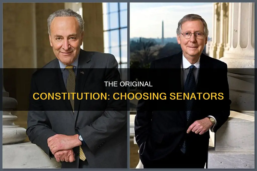 how were senators chosen in the original constitution