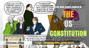The US Constitution's Slave Count: A Historical Perspective