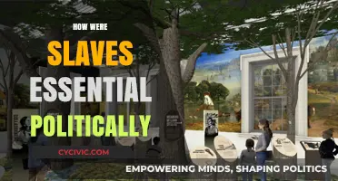 Slavery's Political Role: Shaping Power Structures and National Policies