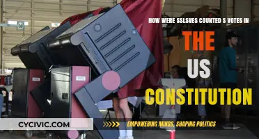 The US Constitution: Counting Slave Votes
