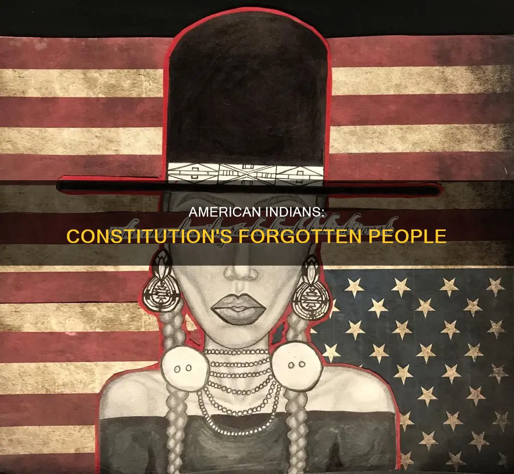 how were the american indians featured in the constitution