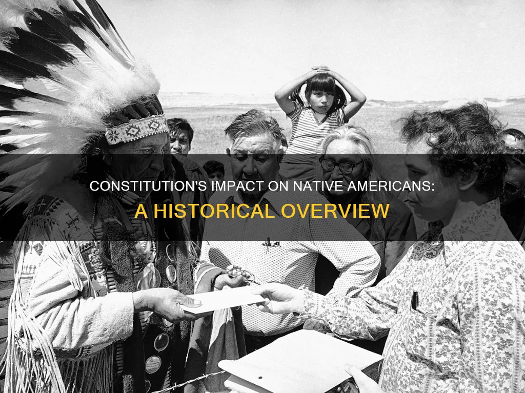 how were the indians affected by the constitution