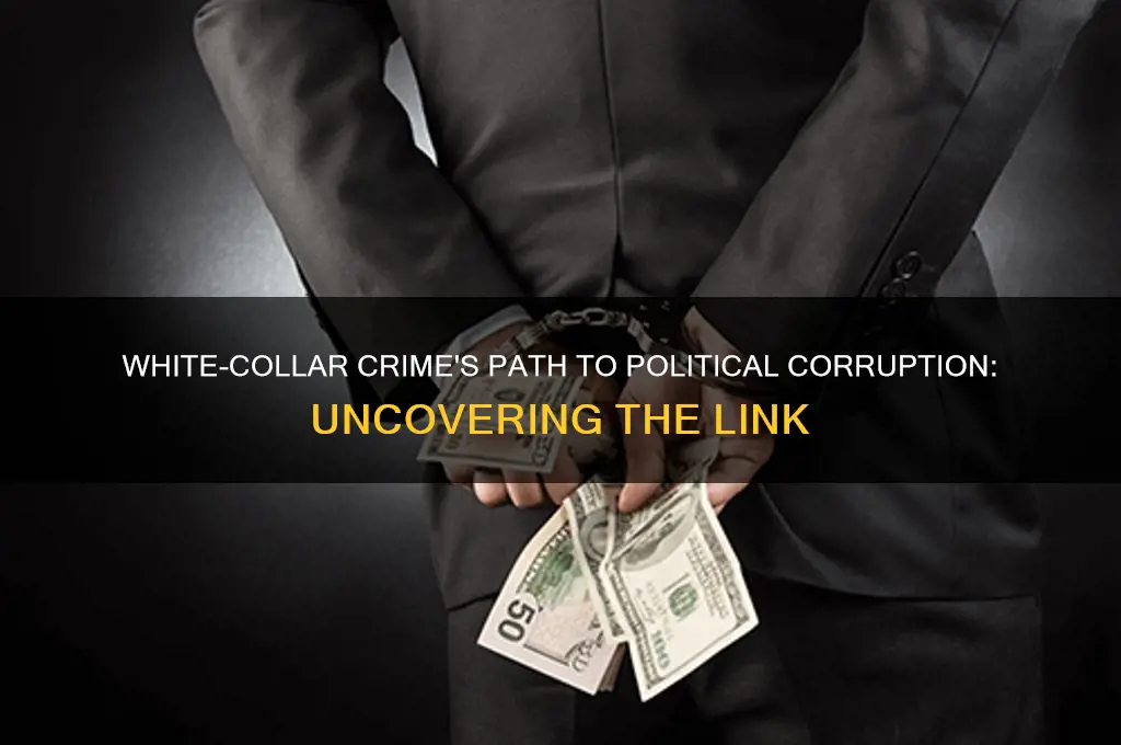 how white-collar crime can lead to political corruption