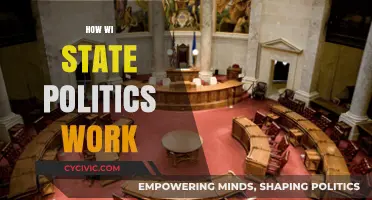 Understanding Wisconsin State Politics: A Comprehensive Guide to the Process