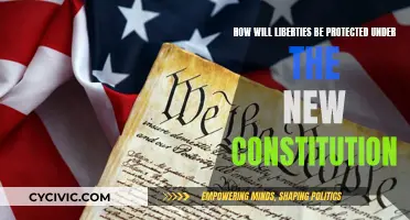 Protecting Liberties: The New Constitution's Impact