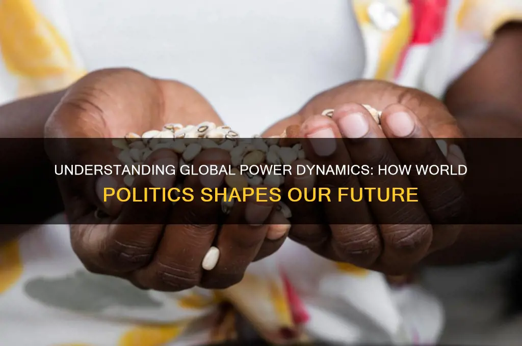 how world politics works