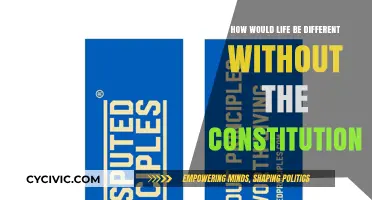 Life Without the Constitution: A Chaotic Future