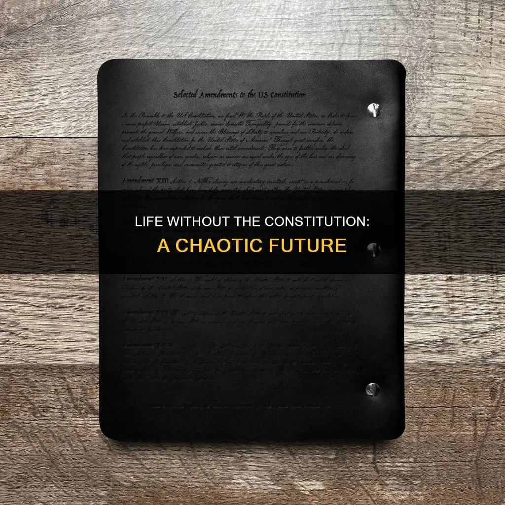 how would life be different without the constitution