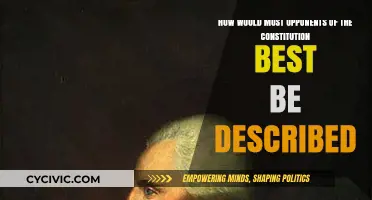 Opponents of the Constitution: A Description and Analysis