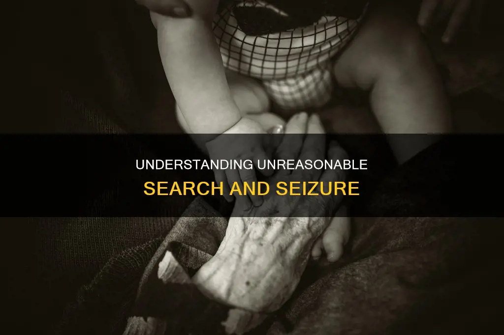 how would one determine what constitutes unreasonable search and seizure