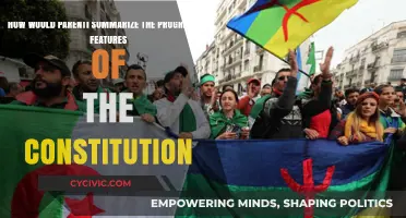 The Progressive Constitution: Parenti's Summary