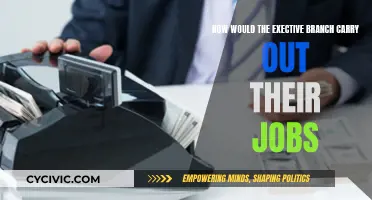 Executive Power: How the Branch Functions