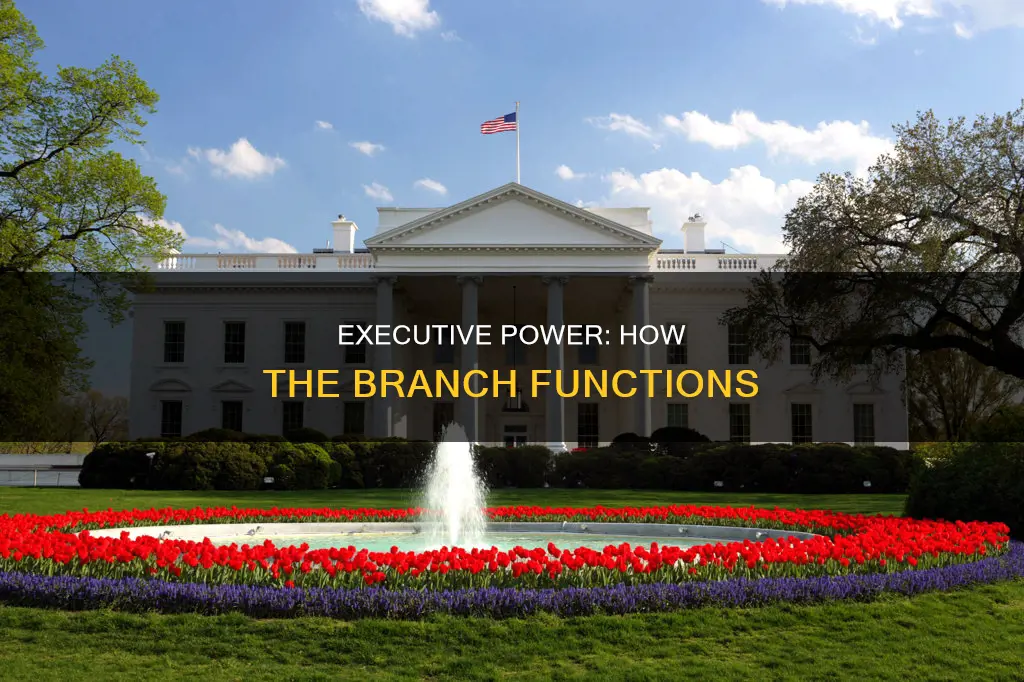 how would the exective branch carry out their jobs