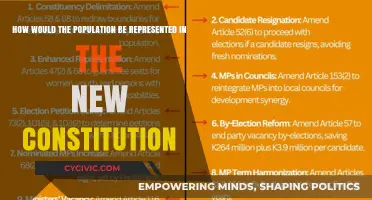 Representation in the New Constitution: Power to the People