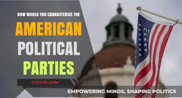 Divided Ideologies: Characterizing the Complex Dynamics of American Political Parties