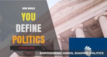 Defining Politics: Power, Governance, and the Art of Decision-Making