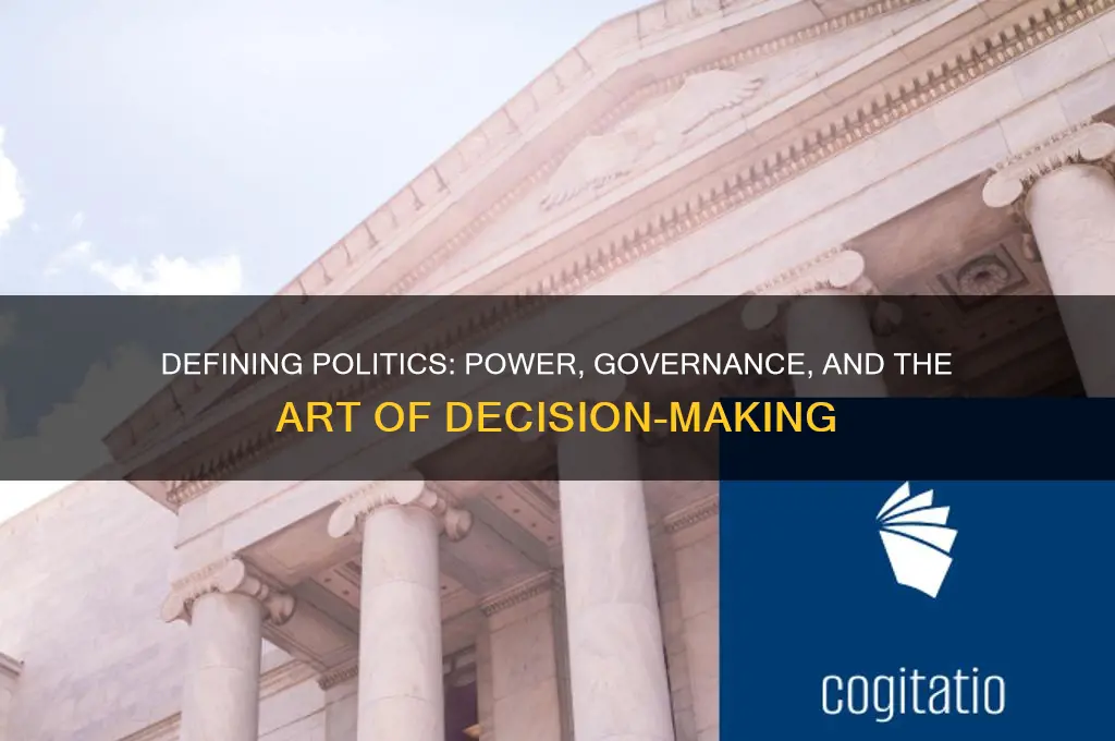 how would you define politics