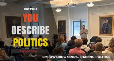 The Complex World of Politics: Power, Policies, and Public Influence