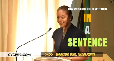 The Constitution: A Powerful Sentence