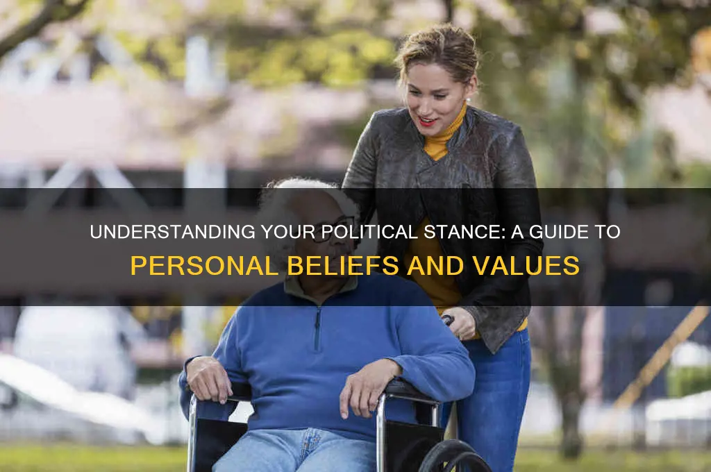 how you stand politically