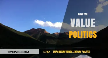 Understanding Political Worth: A Personal Reflection on Valuing Politics