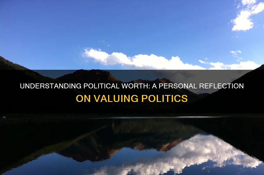 how you value politics