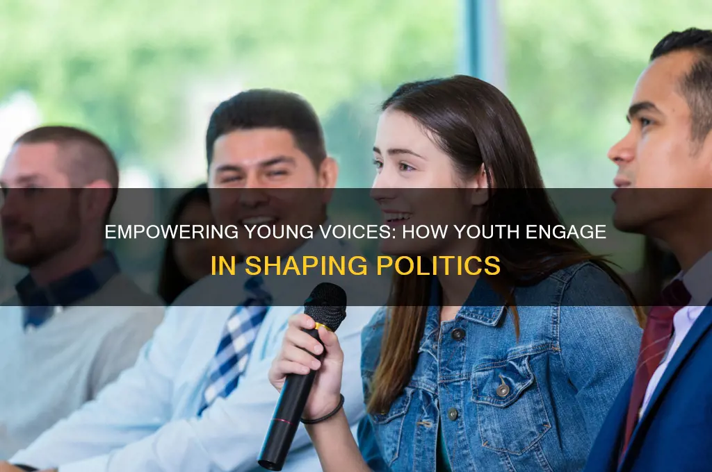how youth participate in politics