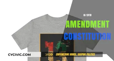 Constitution's 13th Amendment: A Turning Point in History