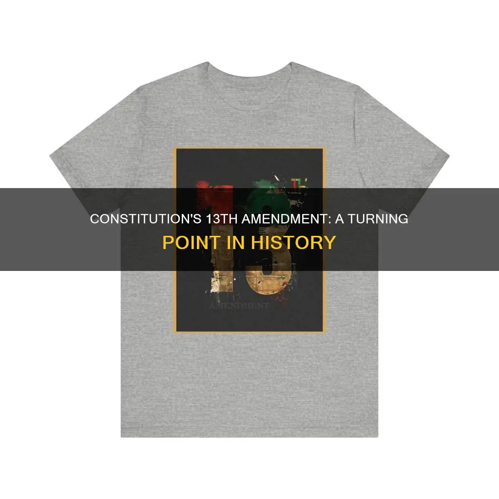 is 13th amendment constitution