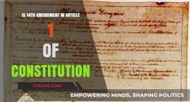 The Fourteenth Amendment: Article 1 of the Constitution