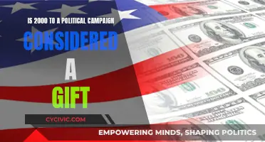 Donations or Gifts? Examining the Nature of Campaign Funds