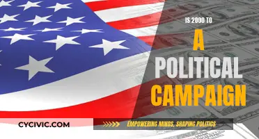 How Political Campaign Donations Influence Elections