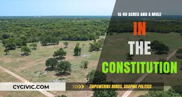 The Promise of 40 Acres: A Constitutional Question