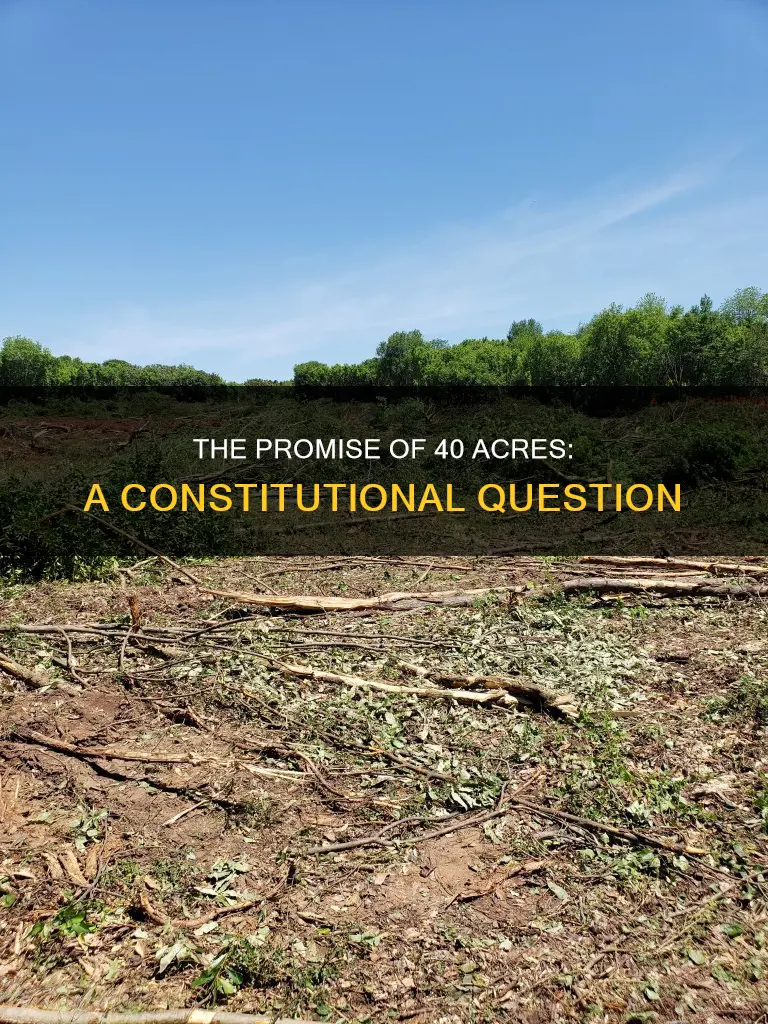 is 40 acres and a mule in the constitution
