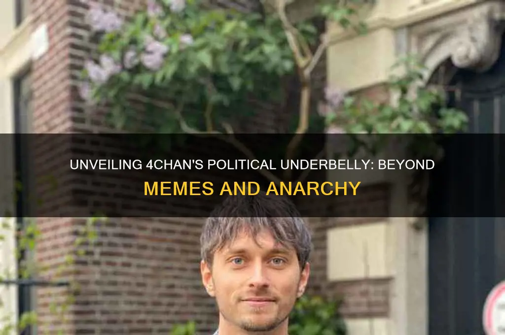 is 4chan actually political