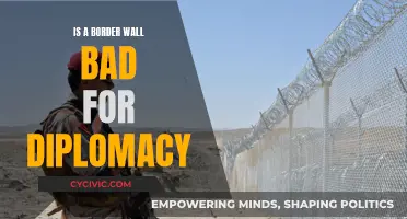 Border Walls: Diplomatic Damage and Geopolitical Tensions