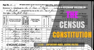 Citizenship Question: Census and Constitutionality