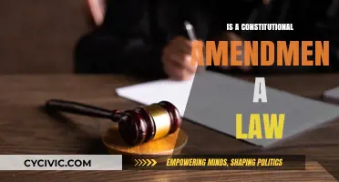 Constitutional Amendments: Law or Not?