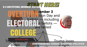 Electoral College: Constitutional Amendment for Change?