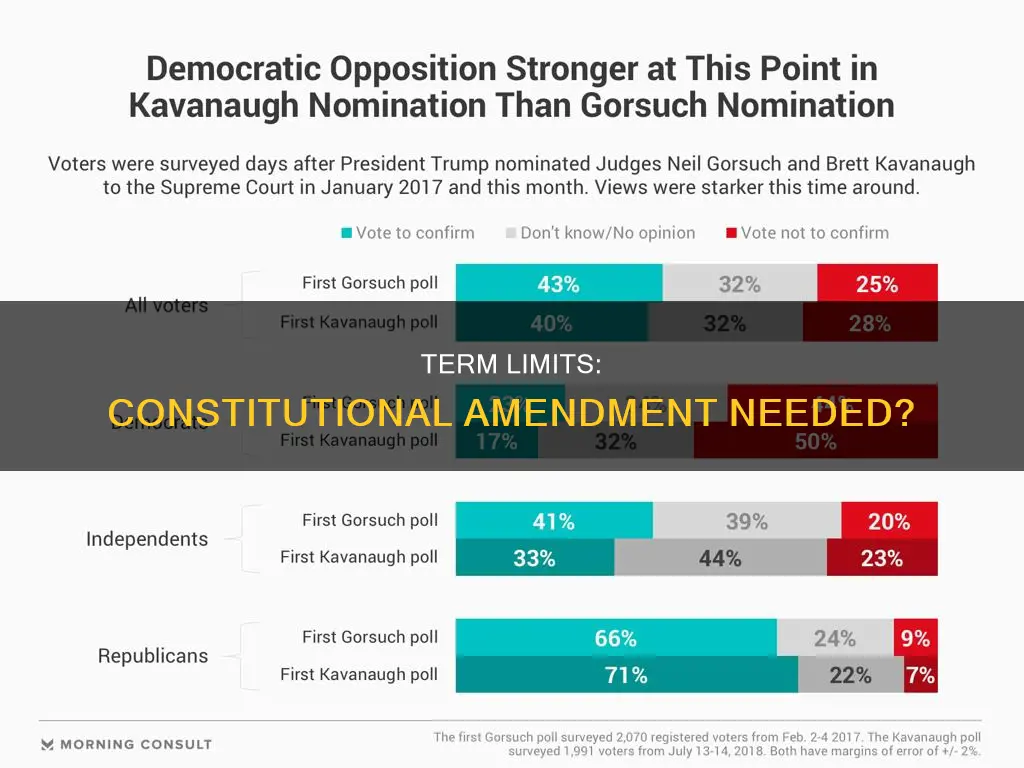 is a constitutional amendment required for federal term limits
