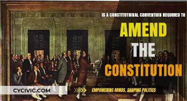 Exploring Constitutional Amendments: Convention Required?