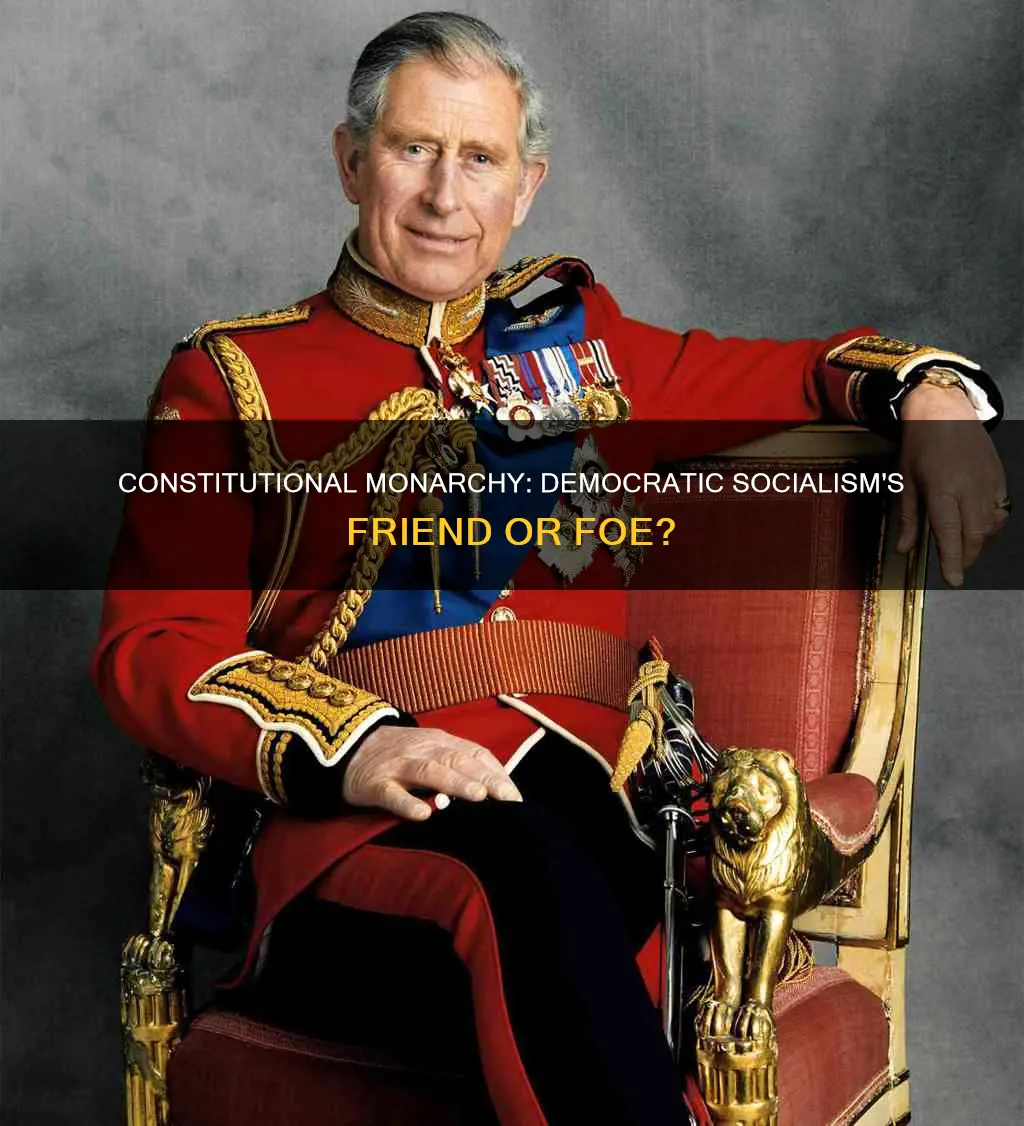 is a constitutional monarchy democratic socialist