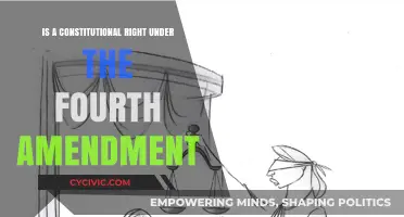 The Fourth Amendment: Protecting Your Constitutional Rights