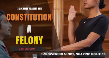 Constitutional Crimes: Felonies or Misdemeanors?