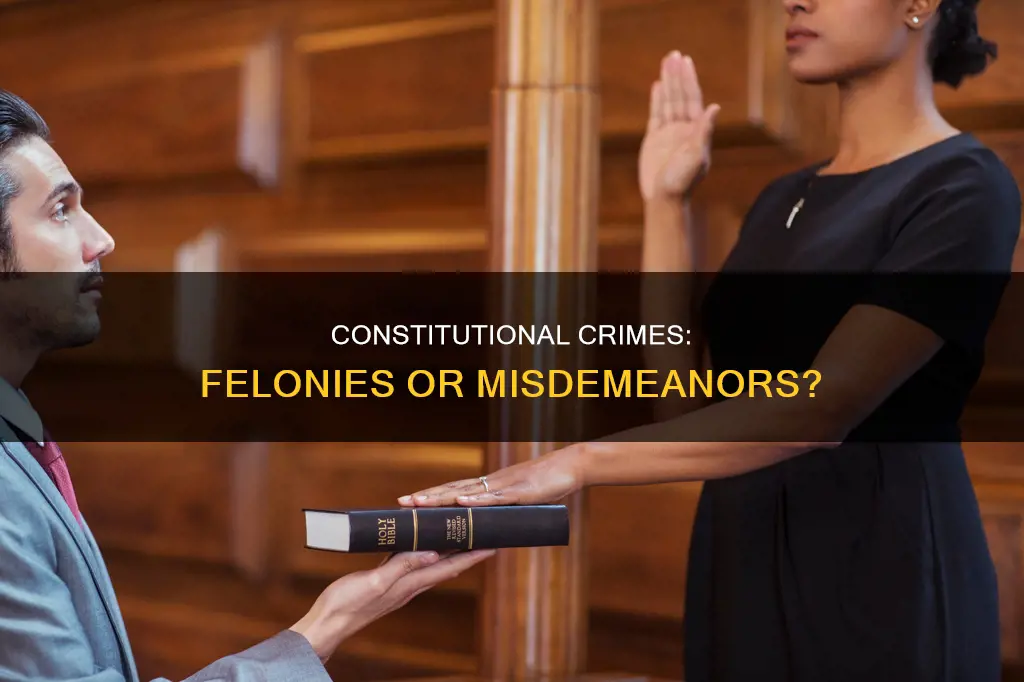 is a crime against the constitution a felony