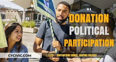 Is Donating to Politics a Form of Civic Engagement?