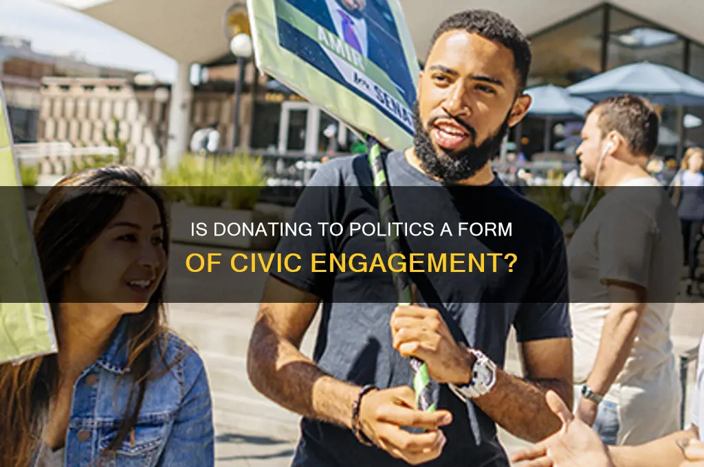 is a donation political participation