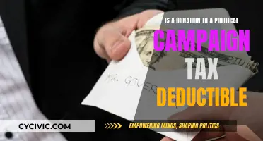 Political Campaign Donations: Tax Write-Off or Not?