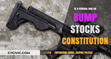 Bump Stocks: Federal Ban's Constitutionality Questioned