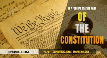 Federal Statute and Constitution: What's the Relationship?